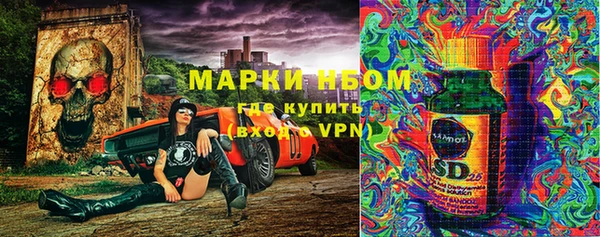 прущие грибы Грязи