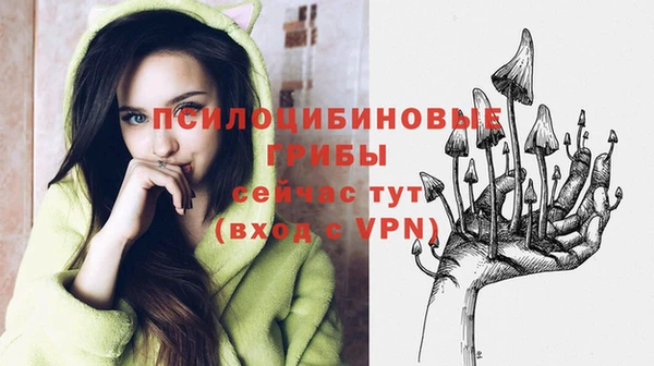 марки nbome Пересвет