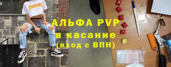 трава Грязовец