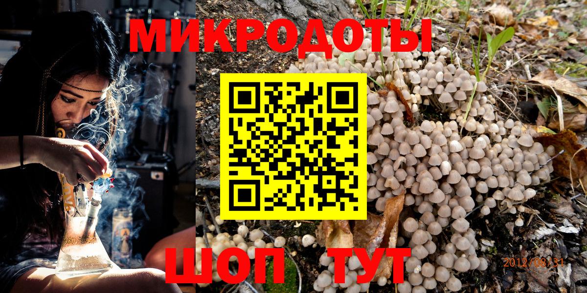 Галлюциногенные грибы Psilocybe  Псилоцибиновые грибы Psilocybe  Коммунар 